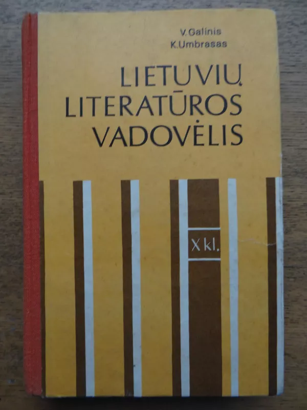 lietuvių literatūros vadovėlis x klasei - V. Galinis, knyga
