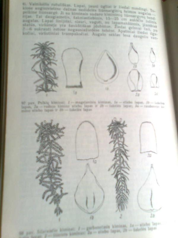 Biologo vadovas - Autorių Kolektyvas, knyga 3