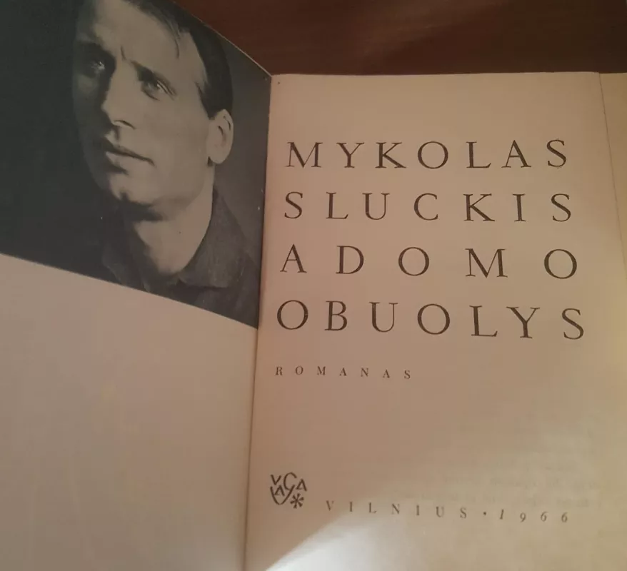 Adomo obuolys - Mykolas Sluckis, knyga 2
