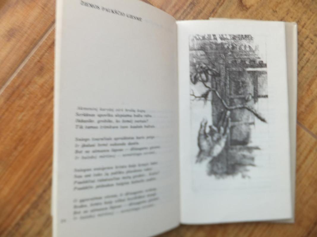 Paglostyk žolę - Albinas Bernotas, knyga 5