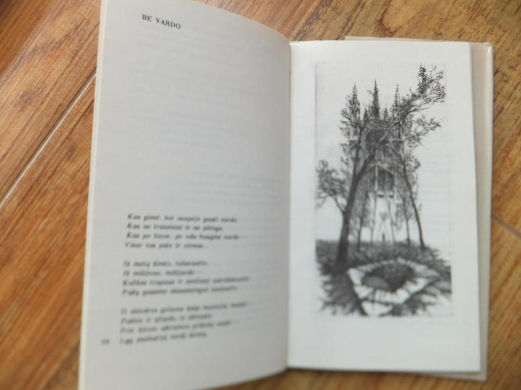 Paglostyk žolę - Albinas Bernotas, knyga 4