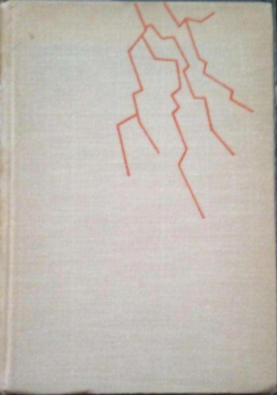 Rinktinė - Juzė Butkų, knyga 4