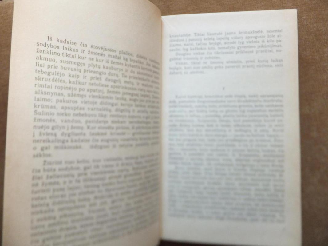 Negandos ženklas. Migloje - Vasilis Bykovas, knyga 4