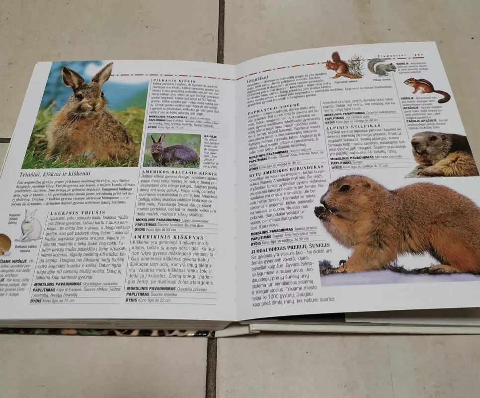 Mažoji gyvūnų enciklopedija - David Burnie, knyga 3