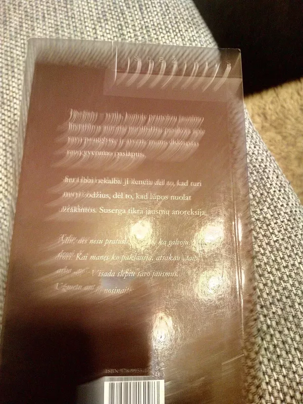 Pasmerkta tylai - Sarah Cohen-Scali, knyga 3