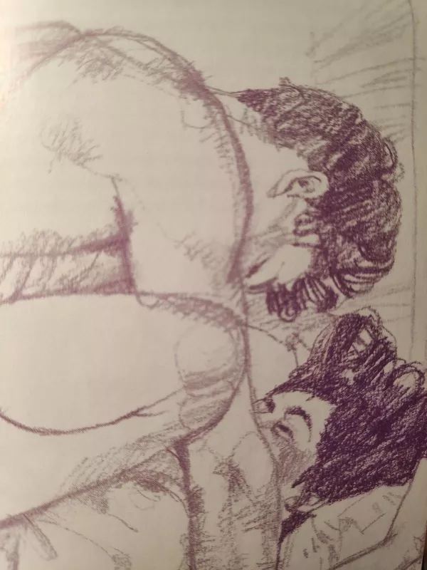 Sekso džiaugsmas - Alex Comfort, knyga 3