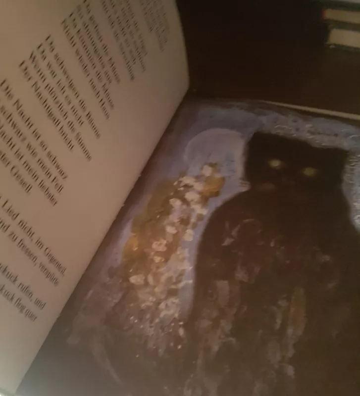 Der Kuckuck und die Katze - Autorių Kolektyvas, knyga 3