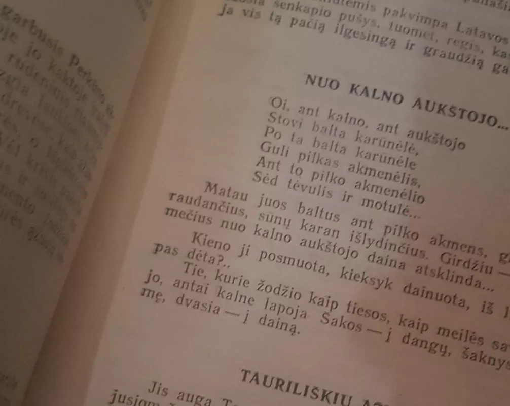 Atminties medis - Vygandas Račkaitis, knyga