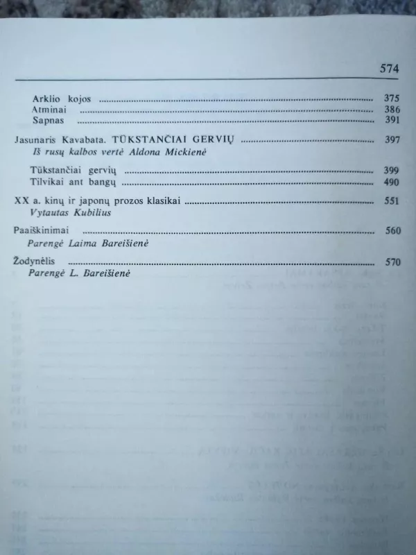 XX a. Rytų proza - Autorių Kolektyvas, knyga