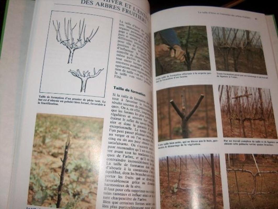 Les quatre saisons du jardin - Autorių Kolektyvas, knyga 5