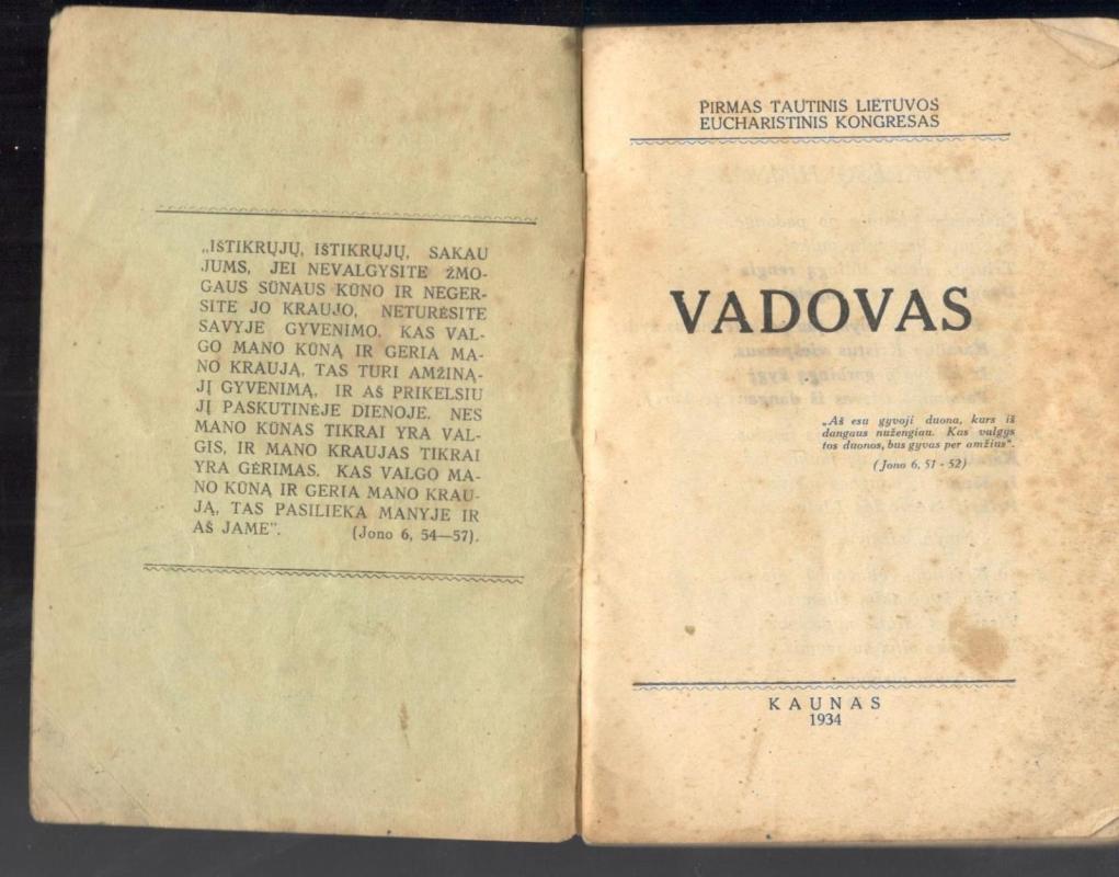 Vadovas : Pirmas tautinis Lietuvos eucharistinis kongresas - Autorių Kolektyvas, knyga 4