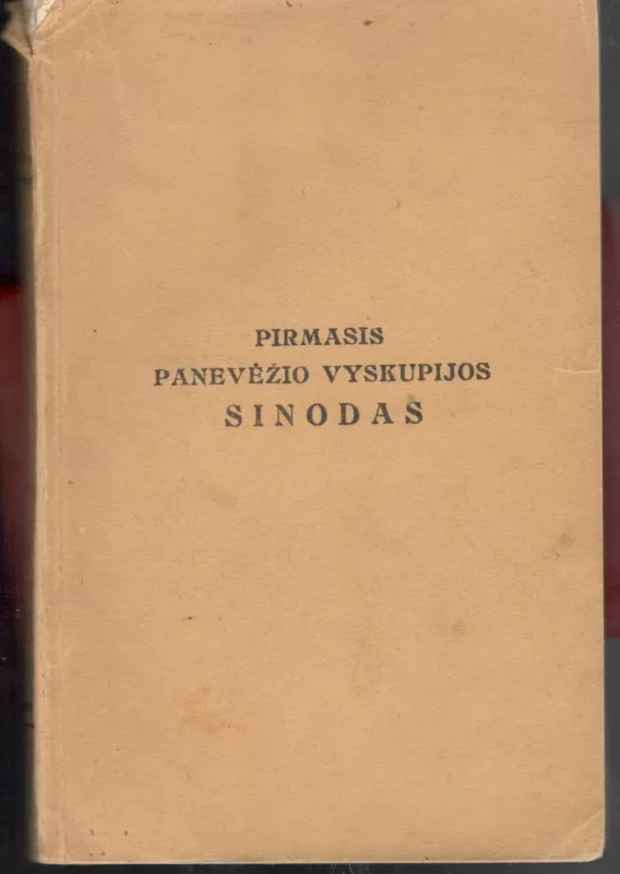 Pirmasis Panevėžio vyskupijos sinodas - Kazimieras Paltarokas, knyga 4