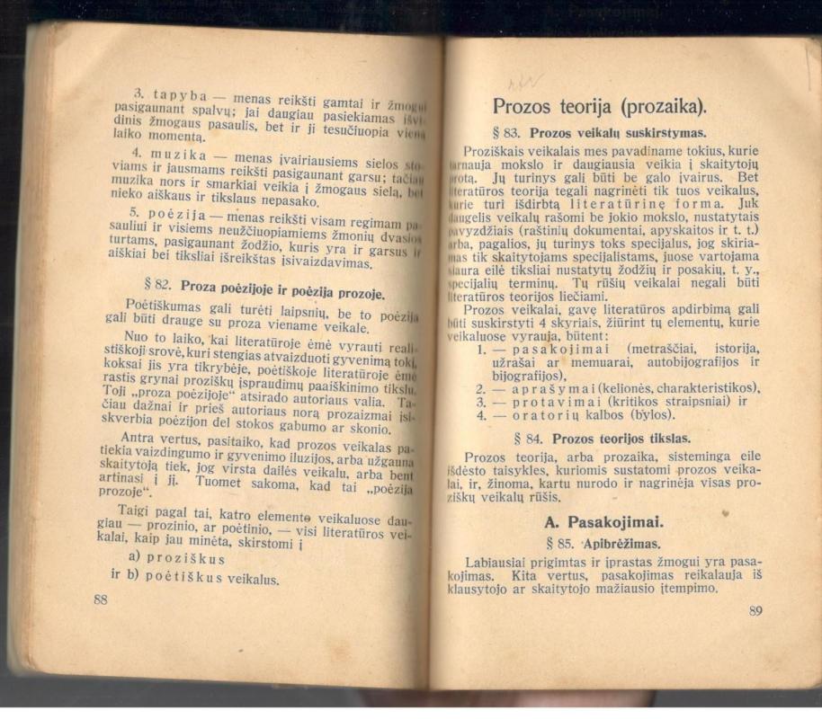 Literatūros teorija - Kazimieras Bizauskas, knyga 2