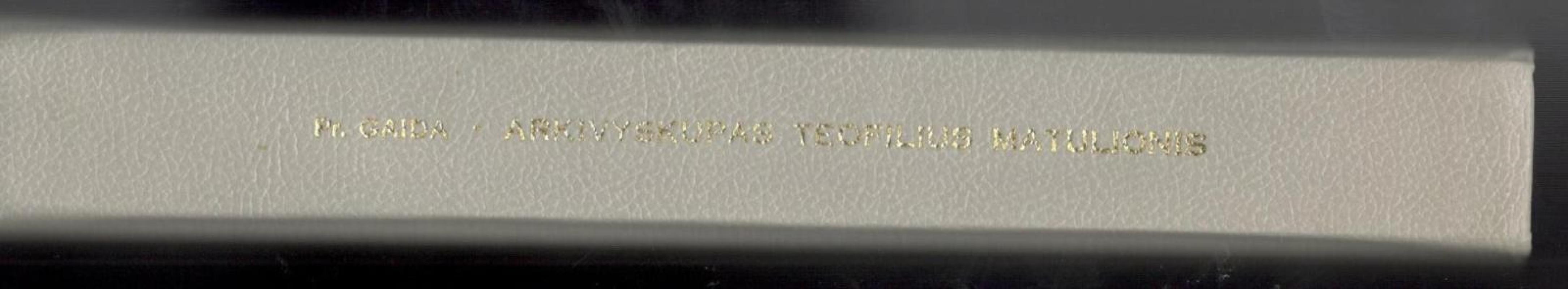 Nemarus mirtingasis: Arkivyskupas Teofilijus Matulionis - Pranas Gaida, knyga 3