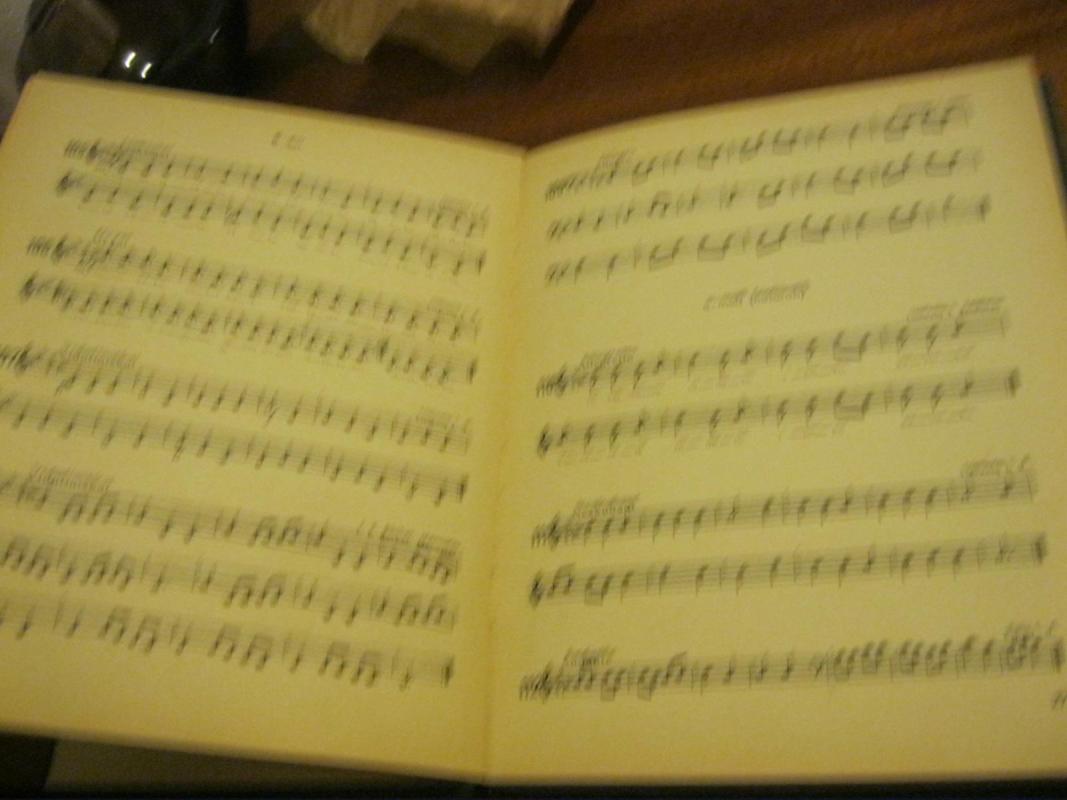 Solfedžio - Rimantas Kašponis, knyga 4