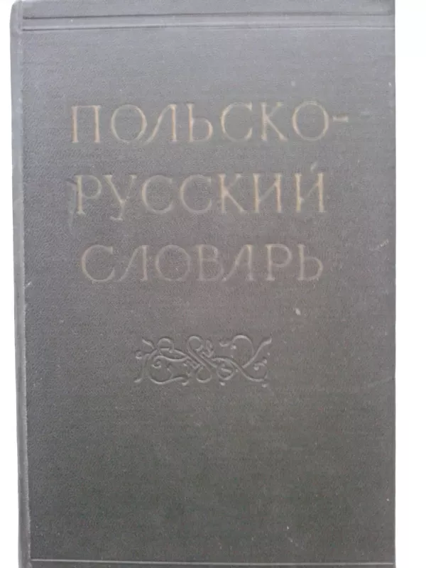 Польско-русский словарь - М. Ф. Розвадовская, knyga