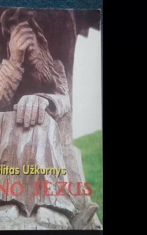 Mano Jėzus - Ipolitas Užkurnys, knyga