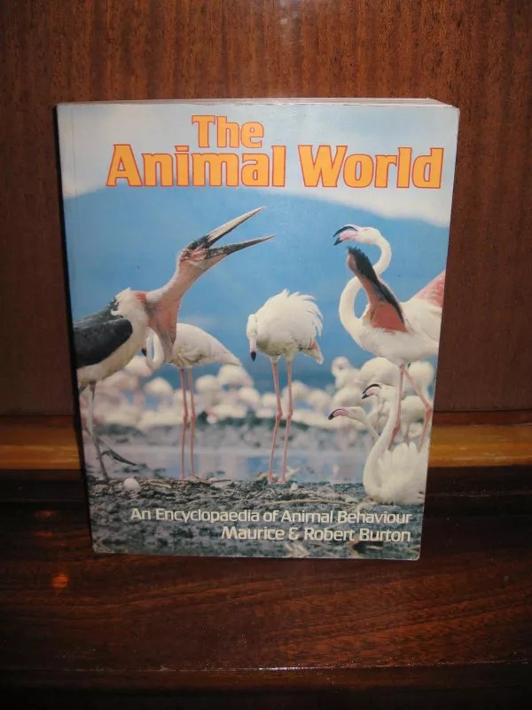 The Animal World - Autorių Kolektyvas, knyga