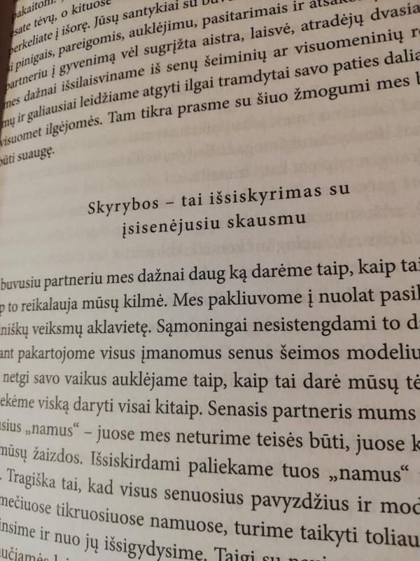 Penkiasdesimt pilku atspalviu - James E L, knyga