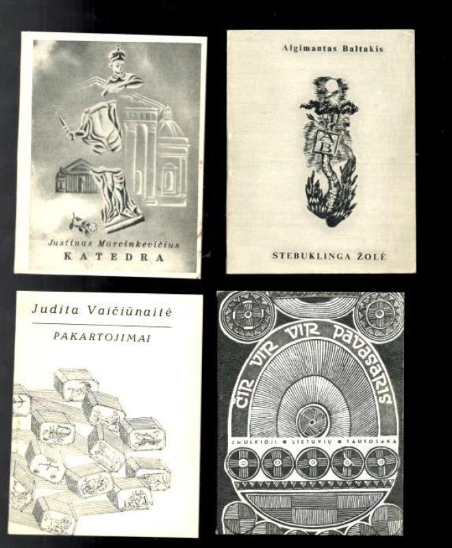 Miniatiūrinis rinkinys ,,1971 metų iliustruotos knygos" (9 autoriai) - Autorių Kolektyvas, knyga 4