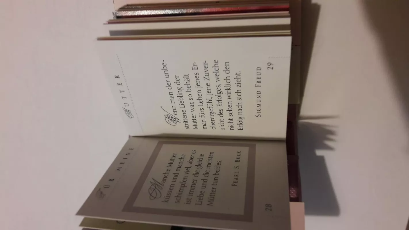 Fur Meine Mutter - Autorių Kolektyvas, knyga 2