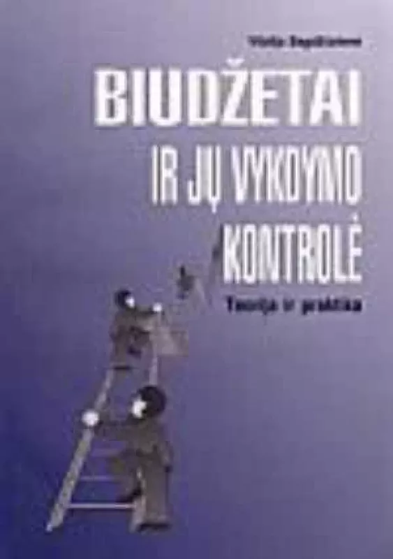 Biudžetai ir jų vykdymo kontrolė: teorija ir praktika - Vitalija Bagdžiūnienė, knyga