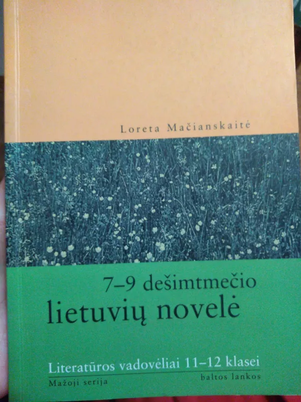7-9 dešimtmečio lietuvių novelė - Loreta Mačianskaitė, knyga 3
