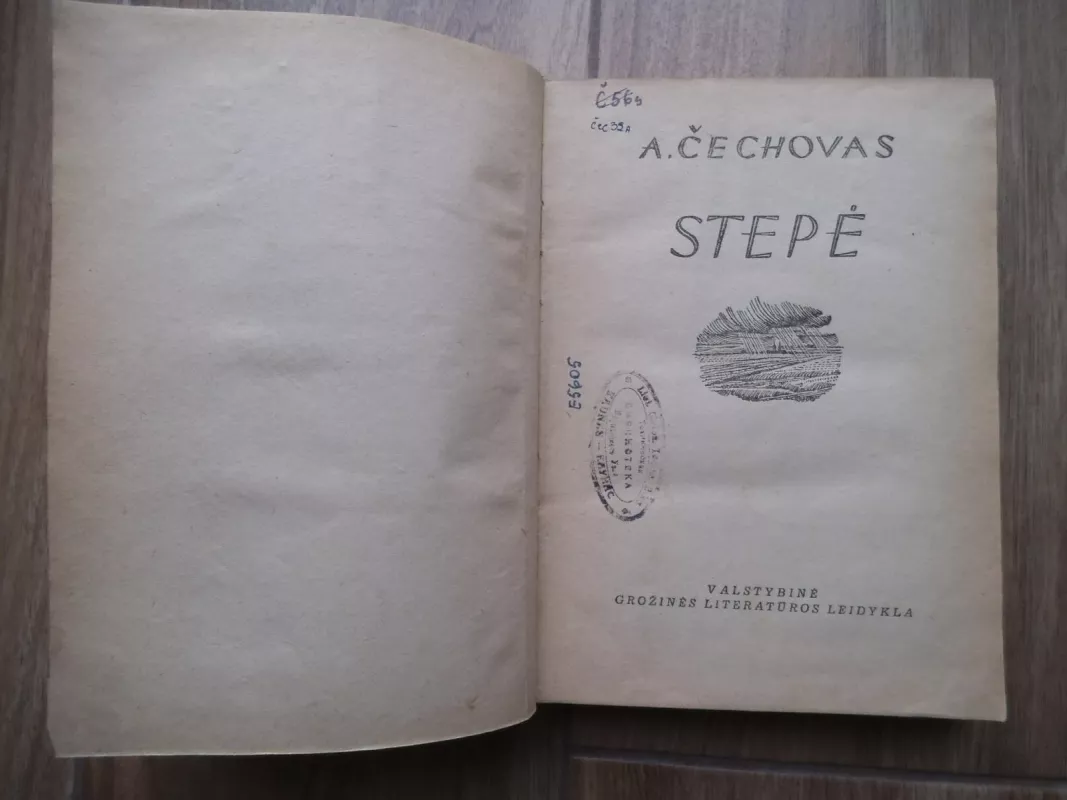 Stepė - Antonas Čechovas, knyga 4