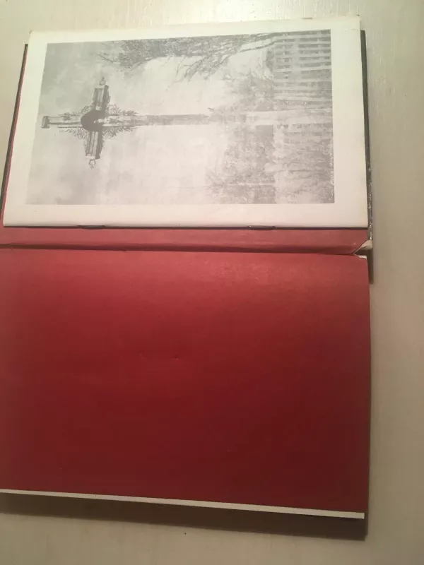 Sušaudytos dainos - Autorių Kolektyvas, knyga 2