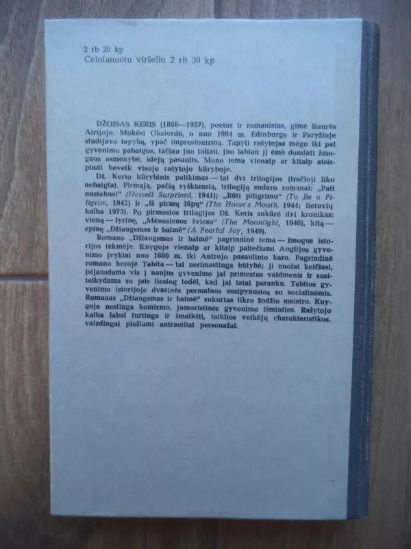 Džiaugsmas ir baimė - Džoisas Keris, knyga 2