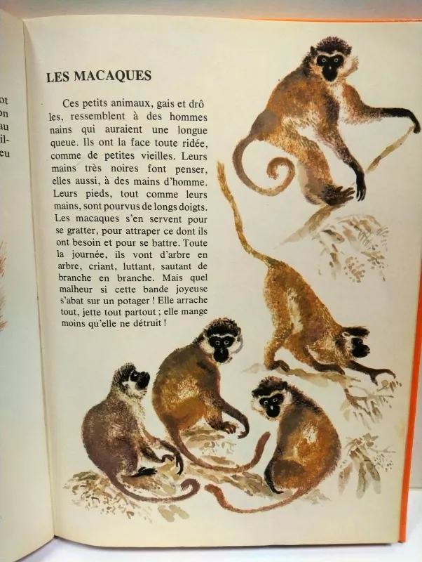 Mon premier livre de zoologie - Evguéni Tcharouchine, knyga