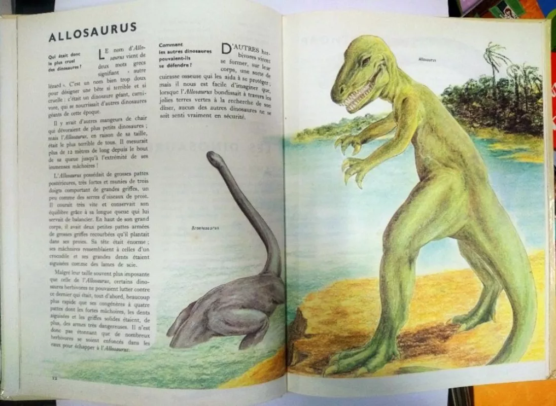 Les dinosaures - Derlene Geis, knyga