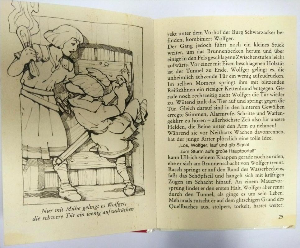 Ritter Ullrich stürmt die Burg - Michail Krausnick, knyga 2