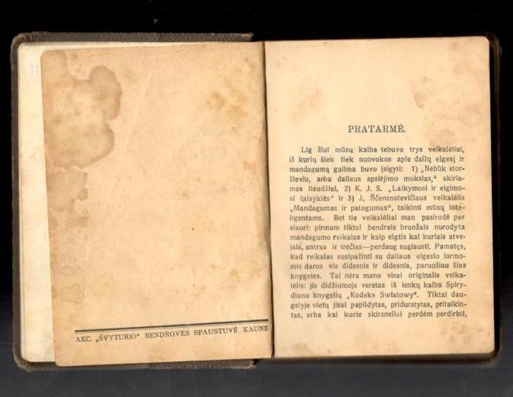 Būk mandagus - S. Davainis, knyga 4