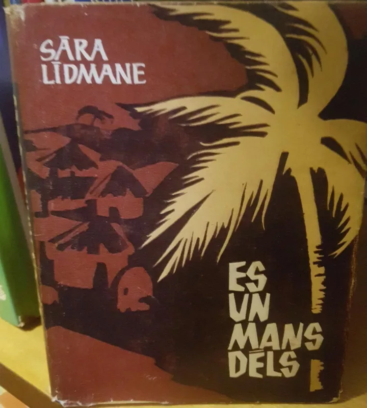Es un mans dels - Sara Lidmane, knyga