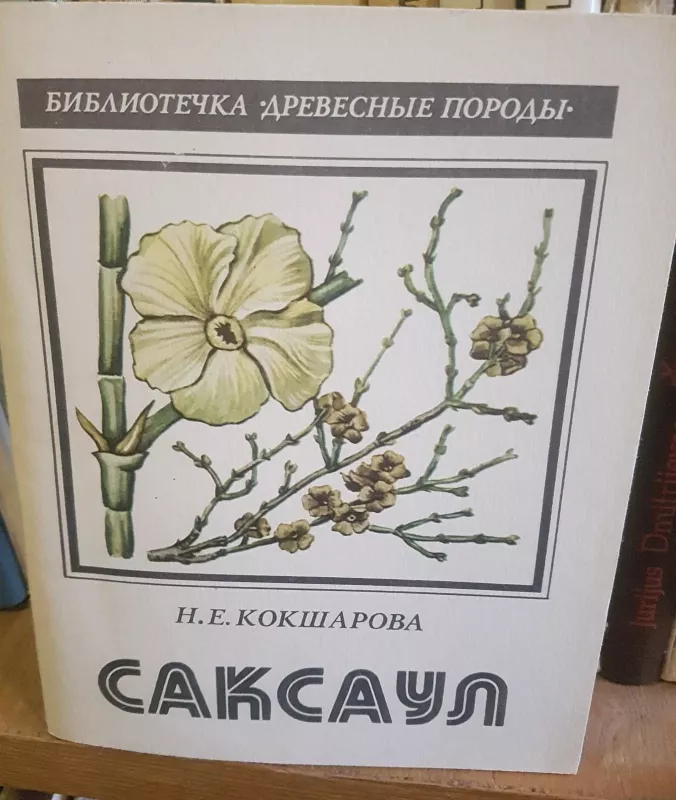Саксаул - Н. Кокшарова, knyga