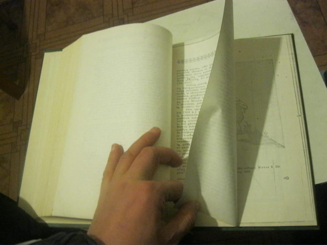 Ugnis lietuvių pasaulėjautoje - Pranė Dundulienė, knyga 4