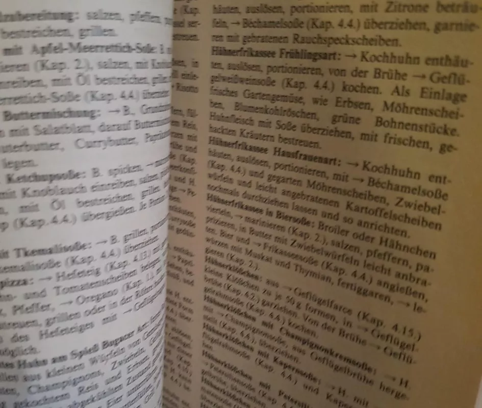 Küchen-Lexikon - Autorių Kolektyvas, knyga