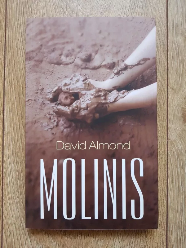 Molinis - David Almond, knyga 3