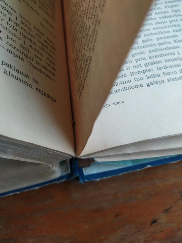 Žvejo sūnus - V. Lacis, knyga 4