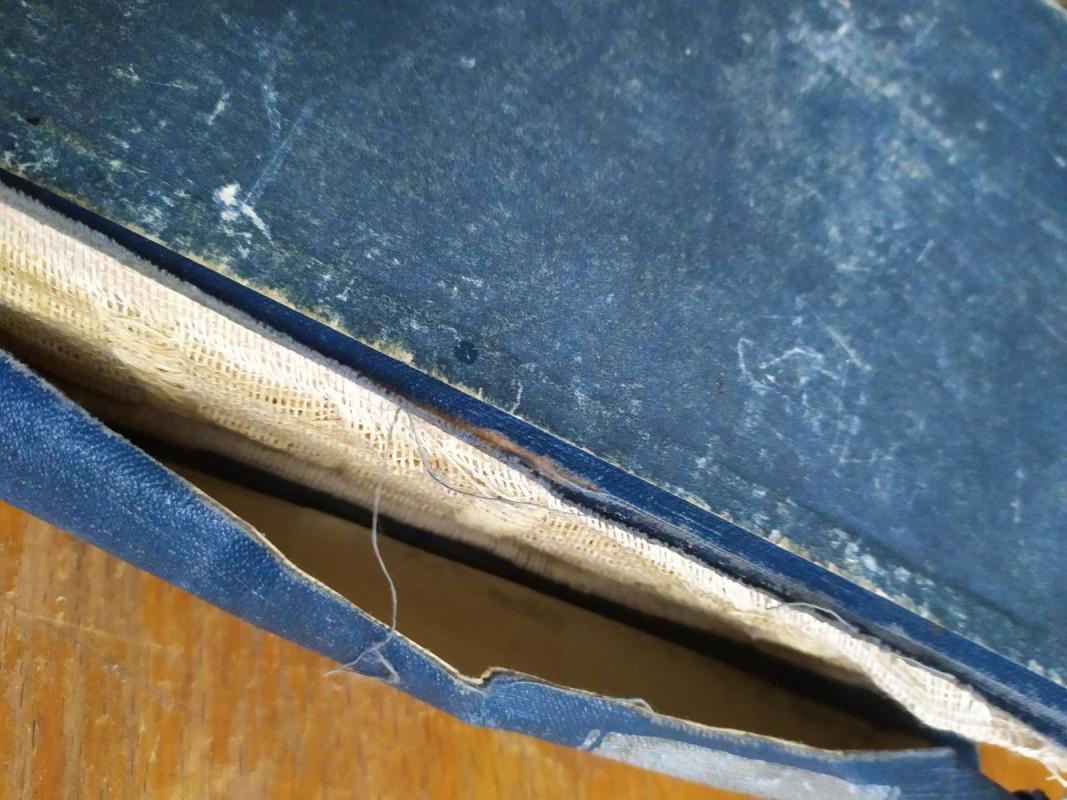 Žvejo sūnus - V. Lacis, knyga 3