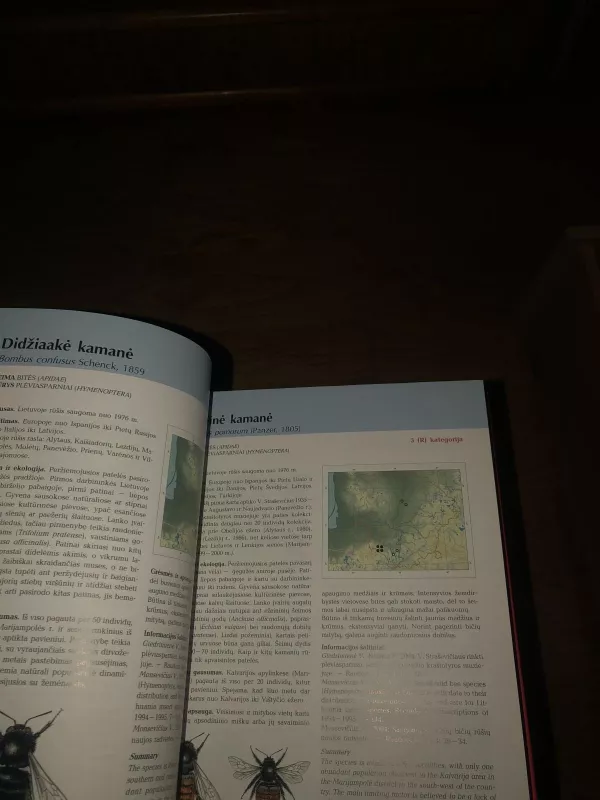 Lietuvos raudonoji knyga - V. Rašomavičius, knyga