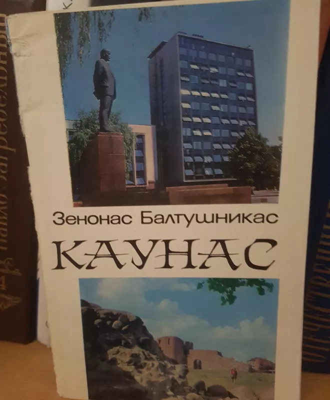 Каунас - Зенонас Балтушникас, knyga