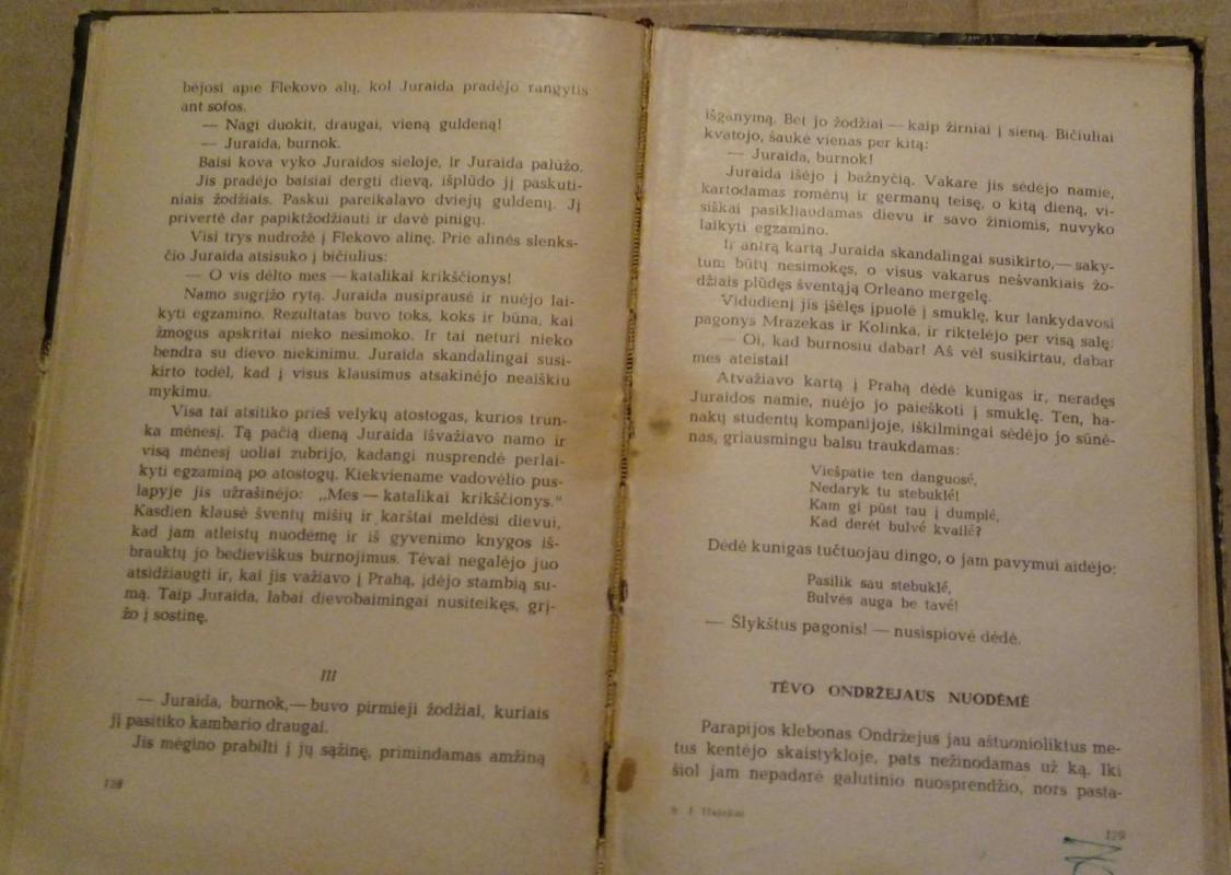 Procesija - Jaroslavas Hašekas, knyga 3