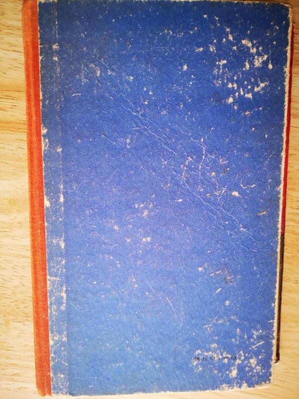 Žiema kalnuose - Džonas Veinas, knyga 2