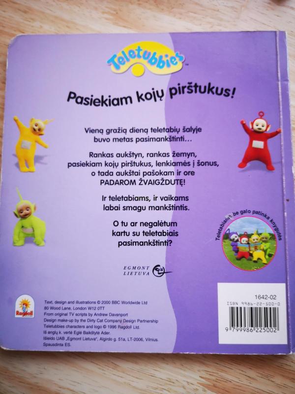 Teletubbies - Andrew Davenport, knyga