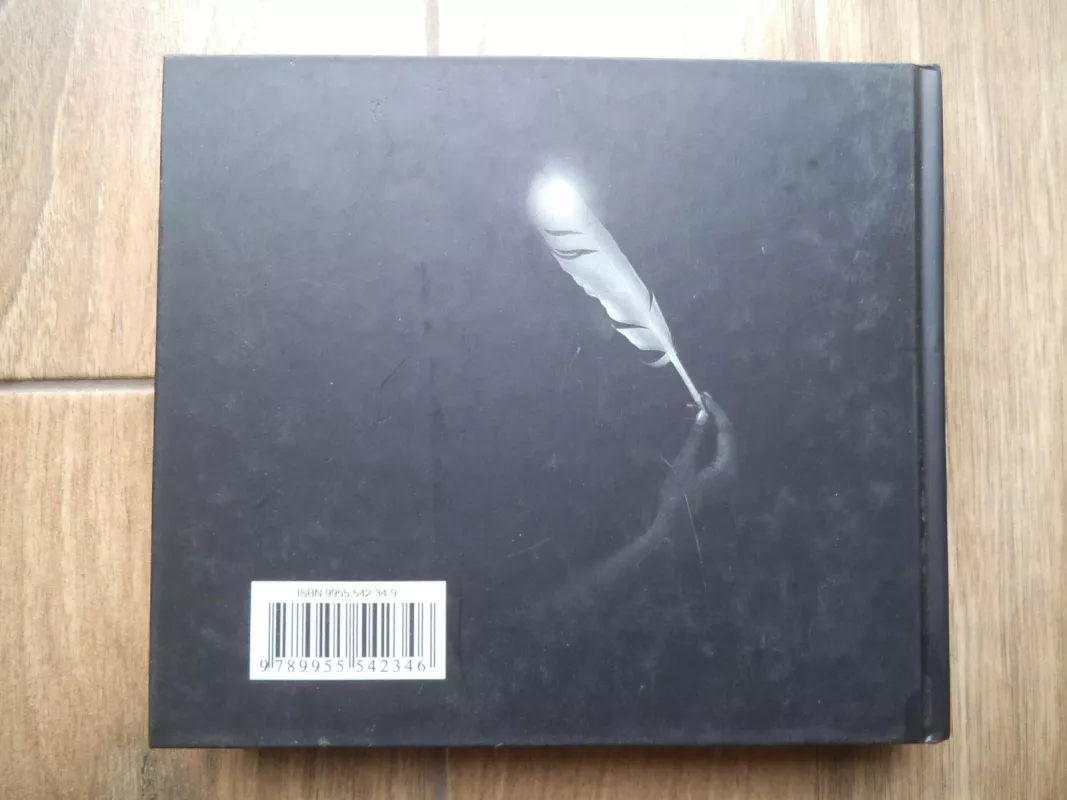 Orai; virš Klaipėdos giedras dangus - Vytautas Bajoras, knyga 2