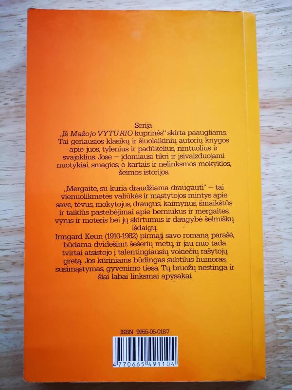 Mergaitė, su kuria draudžiama draugauti - Irmgard Keun, knyga 2
