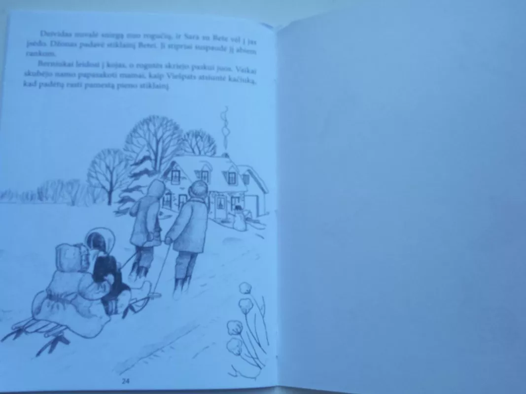 Pamestas pieno stiklainis - Lucy Conley, knyga 5