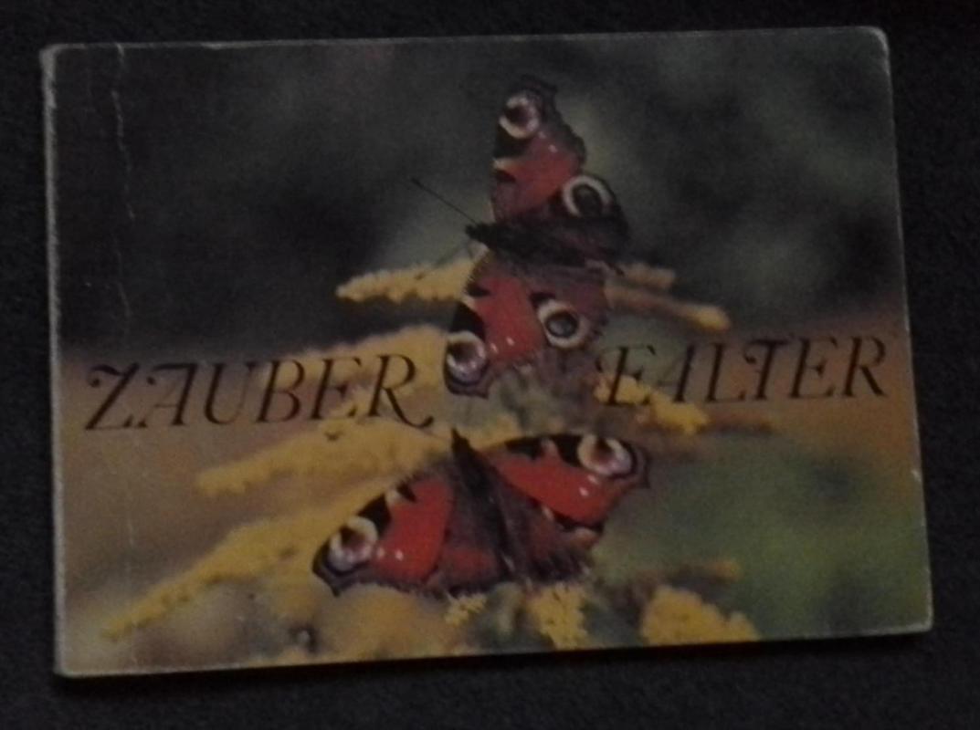 Zauber Falter - Vollger Winfried, knyga 3